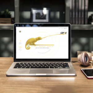 Launching the new website of GMAX Adhesive Company